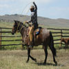 Full rough out working wade saddle with square skirts